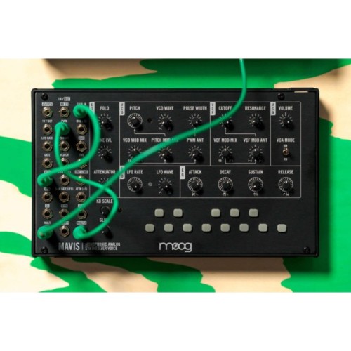 Синтезатор Moog Music Mavis (240985)
