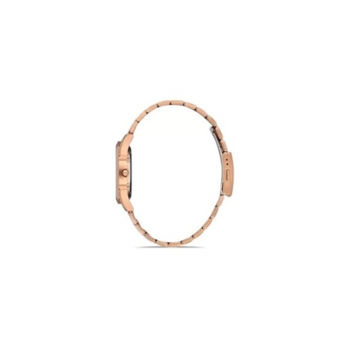 Наручний годинник Ferro F21929A-C