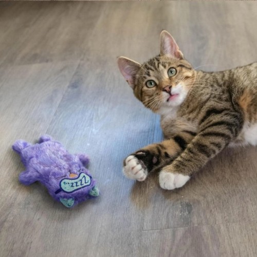 Іграшка для котів Petstages Мур-Мур 27x20 см (0871864007197)