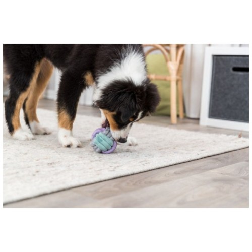 Іграшка для собак Trixie Junior Для цуценят М'яч жгутовий Текстиль 6 см (4011905328102)