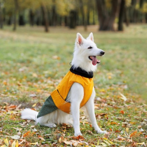 Попона для тварин Pet Fashion ROY 2XL хакі-гірчиця (4823082432844)