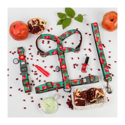 Нашийник для тварин WAUDOG Nylon з QR адресником "Гранати" пластиковий фастекс XL (283-4052)