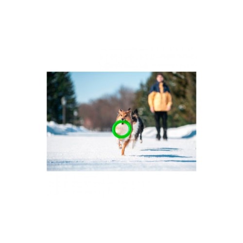 Іграшка для собак Collar PitchDog Кільце для апортування 20 см салатове (62375)