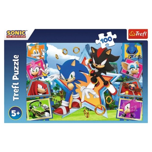 Пазл Trefl Sonic Зустрічайте Соніка 100 елементів (5900511164657)