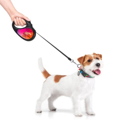 Повідець для собак WAUDOG R-leash Конотопські магічні війська світловідбиваюча стрічка L 5 м (8126-0232-01)