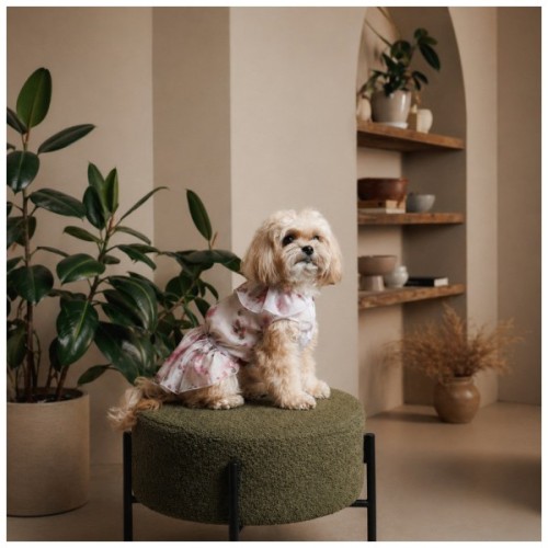 Сукня для тварин Pet Fashion Amelia М (4823082446452)
