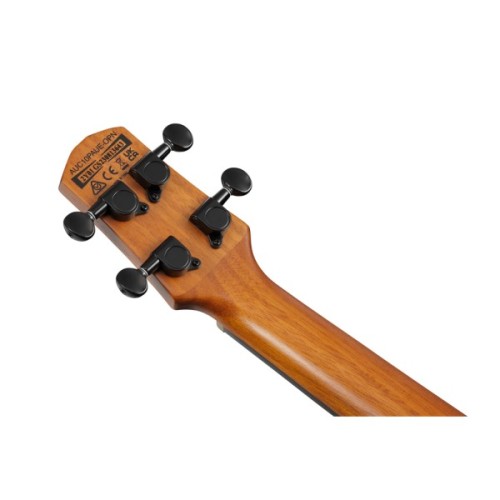 Укулеле Ibanez AUC10E OPN (234983)