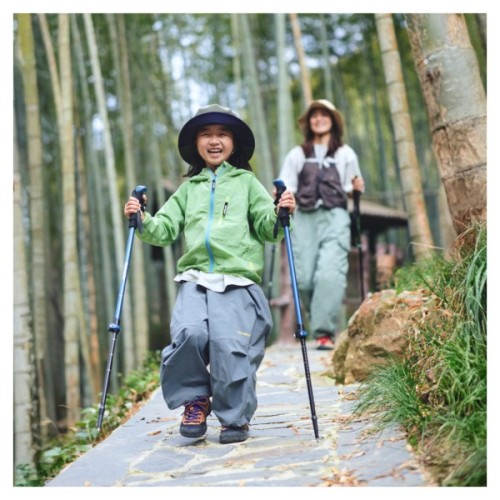Трекінгові палиці Naturehike CNK2550DS010 55-120 см зелена 1 шт (6977465869371)