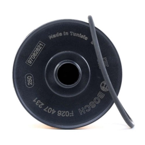 Фільтр масляний Bosch F026407231