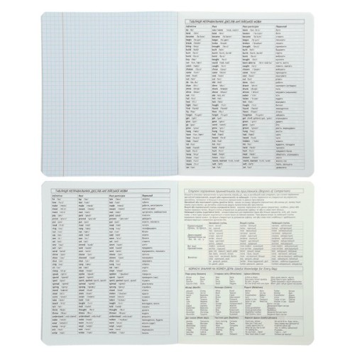 Зошит ZiBi предметний BLACK 48 аркушів клітинка, англійська мова (ZB.1700-17)