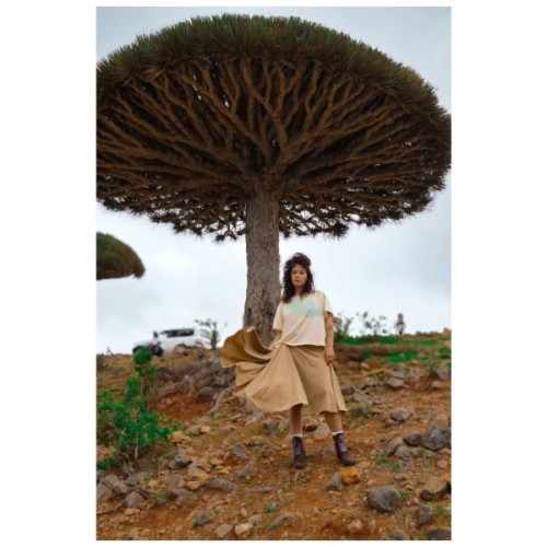 Футболка Turbat Misool Wmn cloud cream/brown - XL - бежевий/коричневий (012.004.6332)