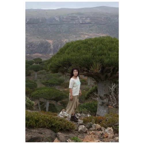 Футболка Turbat Misool Wmn cloud cream/brown - XL - бежевий/коричневий (012.004.6332)