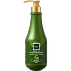 Шампунь Famirel Для сухого та ослабленого волосся з оливковою олією 750 мл (7290114084994)