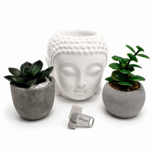 USB флеш накопичувач Wibrand 64GB Bee Silver USB 3.2/Type-C (WI3.2TC/BE64TC039S)