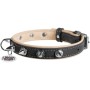Нашийник для тварин WAUDOG Soft з QR паспортом з шипами Ш 25 мм Д 38-49 см чорний (7204)