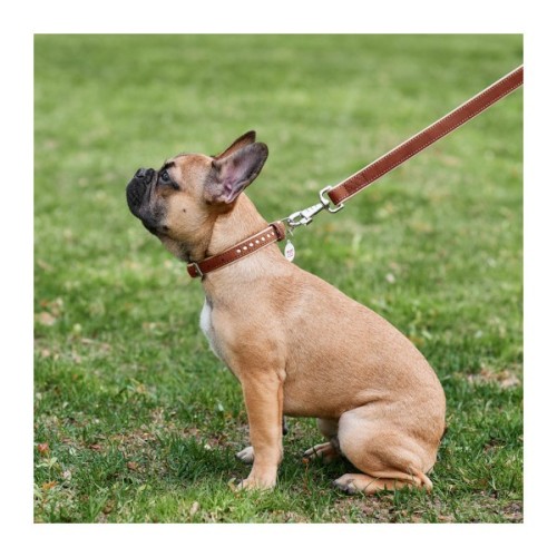 Повідець для собак WAUDOG Soft XS Ш 13 мм Д 122 см коричневий (7255)