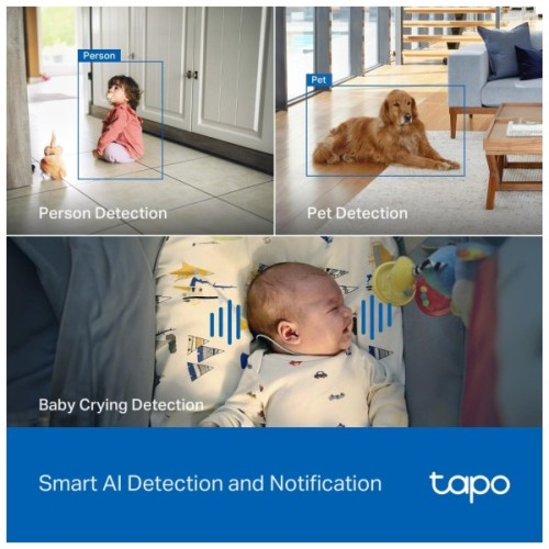 Камера відеоспостереження TP-Link TAPO-C260