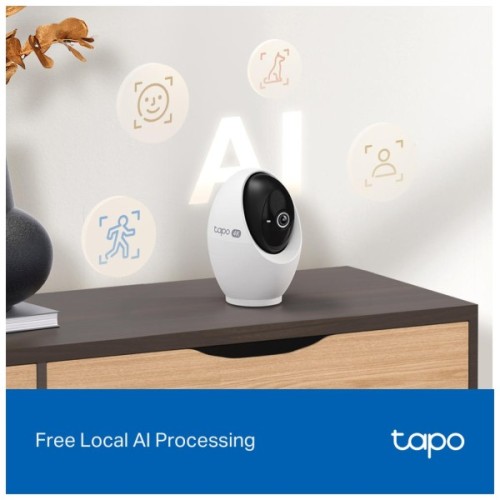 Камера відеоспостереження TP-Link TAPO-C260