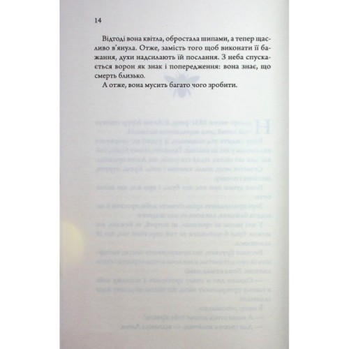 Книга Медова Відьма - Сідні Дж. Шілдс КСД (9786171516250)