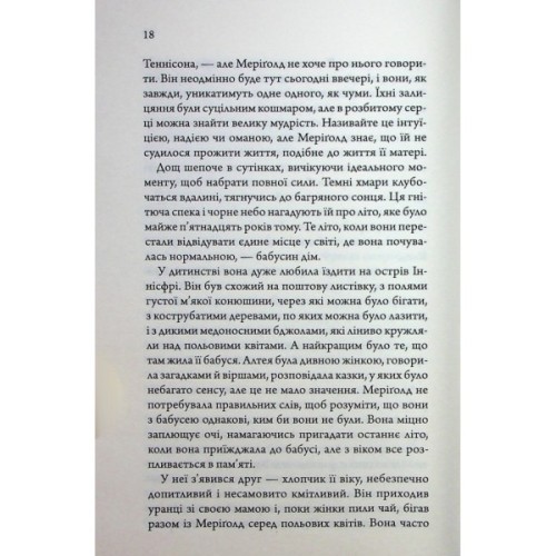 Книга Медова Відьма - Сідні Дж. Шілдс КСД (9786171516250)
