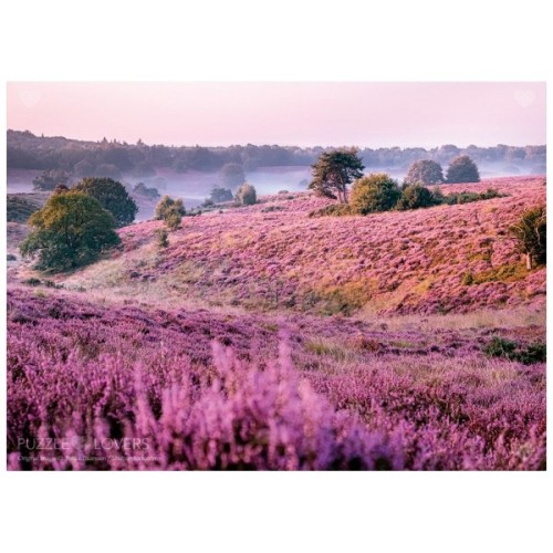 Пазл Tactic Болота, вкриті вересом, 1000 елементів (56750)