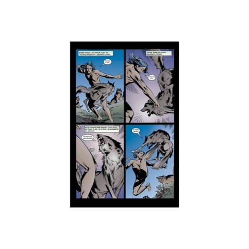 Комікс Казки. Книга 8: Вовки - Білл Віллінґем Видавництво РМ (9786178373214)