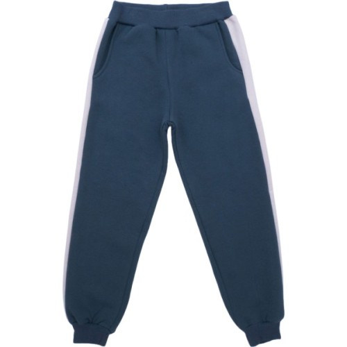 Спортивний костюм дитячий Smile на флісі (4228-134B-gray)