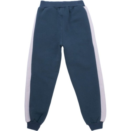 Спортивний костюм дитячий Smile на флісі (4228-134B-gray)