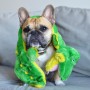 Іграшка для собак Outward Hound Squeaker Matz Алігатор 76x15 см (0700603320399)