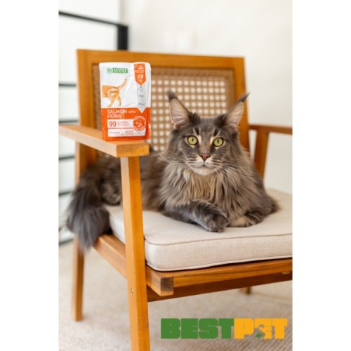 Вологий корм для кішок Nature's Protection Adult cats Sterilised Salmon with Herbs 100 г (NPUPF63659)