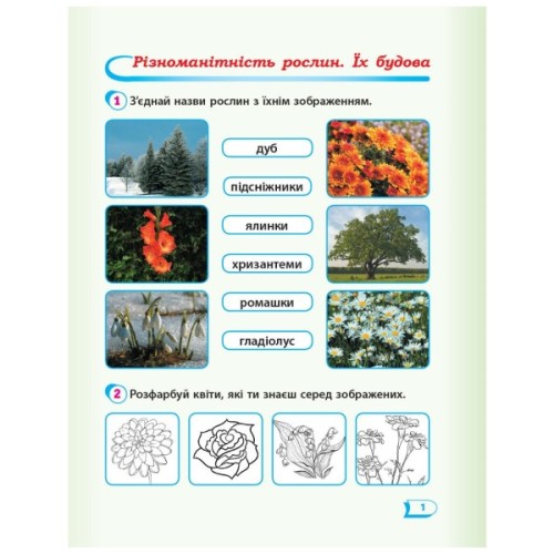 Робочий зошит НУШ Дидакта Я досліджую світ. 1 клас. До підручника "Я досліджую світ" У 2 частинах. Частина 2 Ранок (9786170954220)