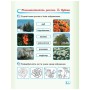 Робочий зошит НУШ Дидакта Я досліджую світ. 1 клас. До підручника "Я досліджую світ" У 2 частинах. Частина 2 Ранок (9786170954220)