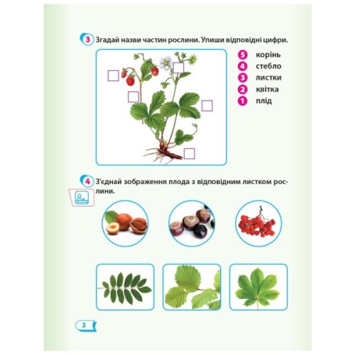 Робочий зошит НУШ Дидакта Я досліджую світ. 1 клас. До підручника "Я досліджую світ" У 2 частинах. Частина 2 Ранок (9786170954220)