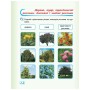 Робочий зошит НУШ Дидакта Я досліджую світ. 1 клас. До підручника "Я досліджую світ" У 2 частинах. Частина 2 Ранок (9786170954220)