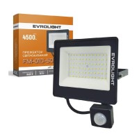 Прожектор EVROLIGHT FM-01D-50 50W 6400К