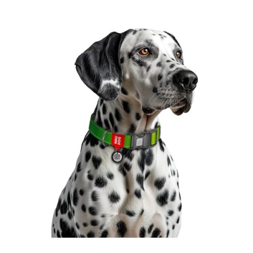 Нашийник для тварин WAUDOG Nylon Mono з QR паспортом, пластиковий фастекс M салатовий (52105)