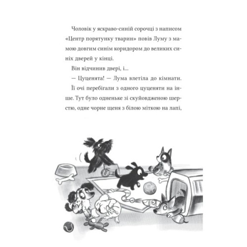 Книга Лума та її хатній дракон - Лі Мохаммед Vivat (9786171707511)