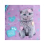 Рюкзак шкільний Kite Education 763S Studio Pets (SP26-763S)