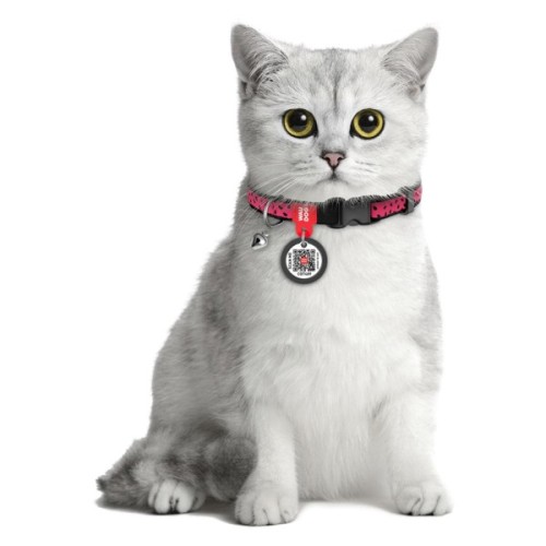 Нашийник для тварин WAUDOG Кавун з QR паспортом XS 20-30 см (5269)