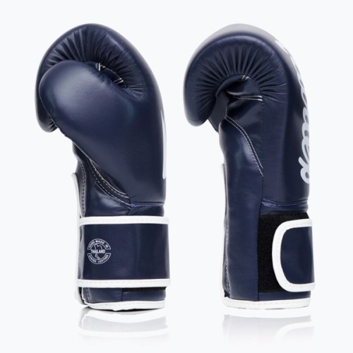 Боксерські рукавички Fairtex BGV14 Blue 14 унцій (бинти в комплекті) (BGV14_14oz_Blue)
