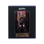Зошит Kite Harry Potter, 48 аркушів, клітинка (HP26-259)