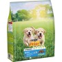 Сухий корм для собак Purina Friskies Junior з куркою, овочами і молоком 2.4 кг (7613034232205)
