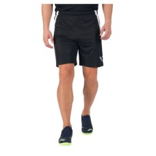 Шорти Puma teamLIGA Shorts 704924-03 чорний L (4063699144833)