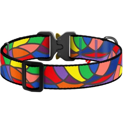 Нашийник для тварин WAUDOG Nylon з QR паспортом "Вітраж" металева пряжка-фастекс М (5175)