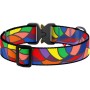 Нашийник для тварин WAUDOG Nylon з QR паспортом "Вітраж" металева пряжка-фастекс М (5175)