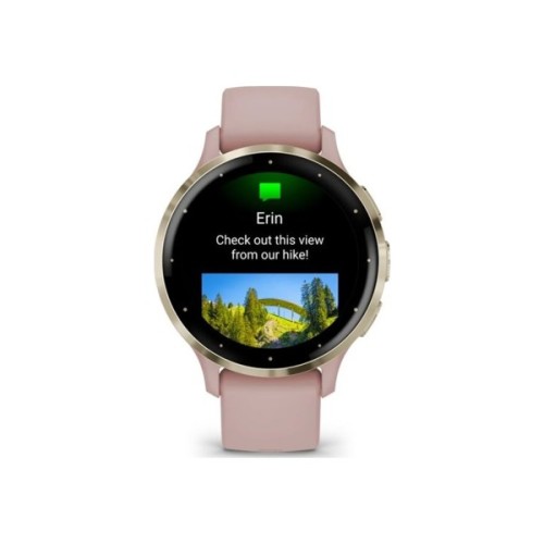 Смарт-годинник Garmin Venu 3S, Dust Rose + Soft Gold, GPS (010-02785-03)