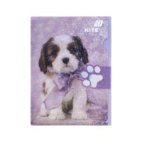 Папка - куточок Kite із клапаном A4 Rachael Hale (R25-248)