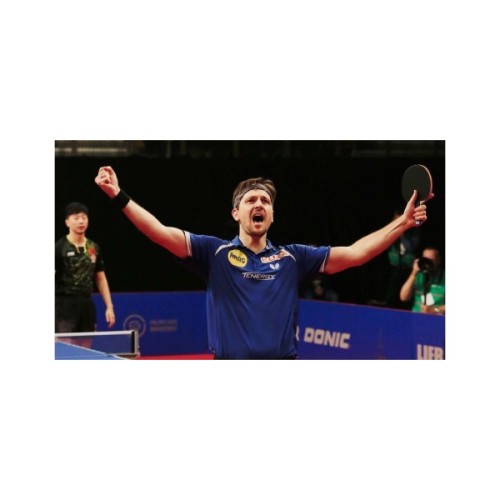 Ракетка для настільного тенісу Butterfly Timo Boll Progress FL (6110200002) (931844)