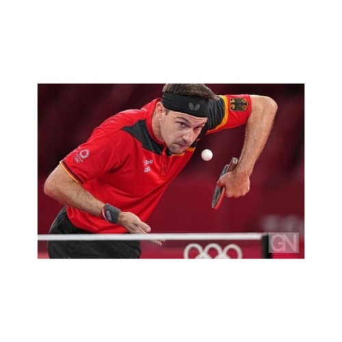 Ракетка для настільного тенісу Butterfly Timo Boll Progress FL (6110200002) (931844)