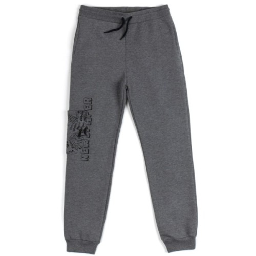 Спортивний костюм дитячий Toontoy на флісі (16794-116G-gray)